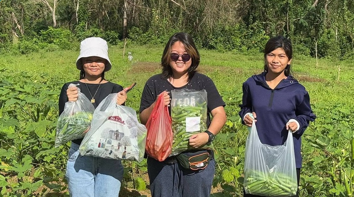 Paglaum Farm Harvests Its First Batch of Crops