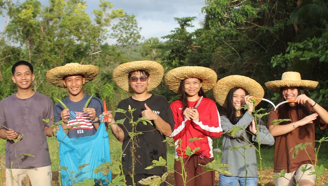 Subang - CTU Conducts Another Harvesting Session for Paglaum Farm Project